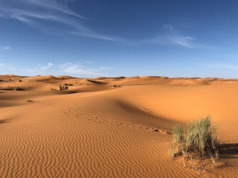 L’exploration des déserts marocains : Découvrez la beauté du Sahara