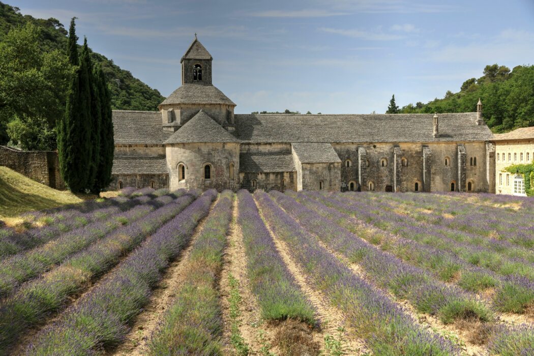 L’essence de la Provence : Un voyage à travers le sud de la France