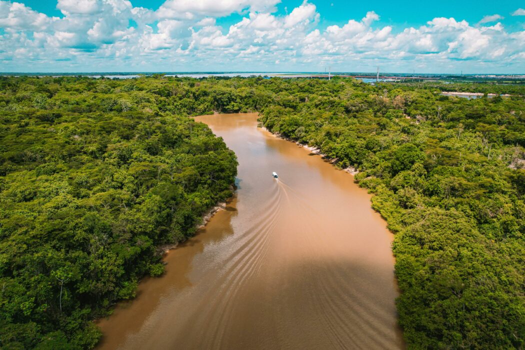 Aventure en Amazonie : Explorer la jungle hors des sentiers battus